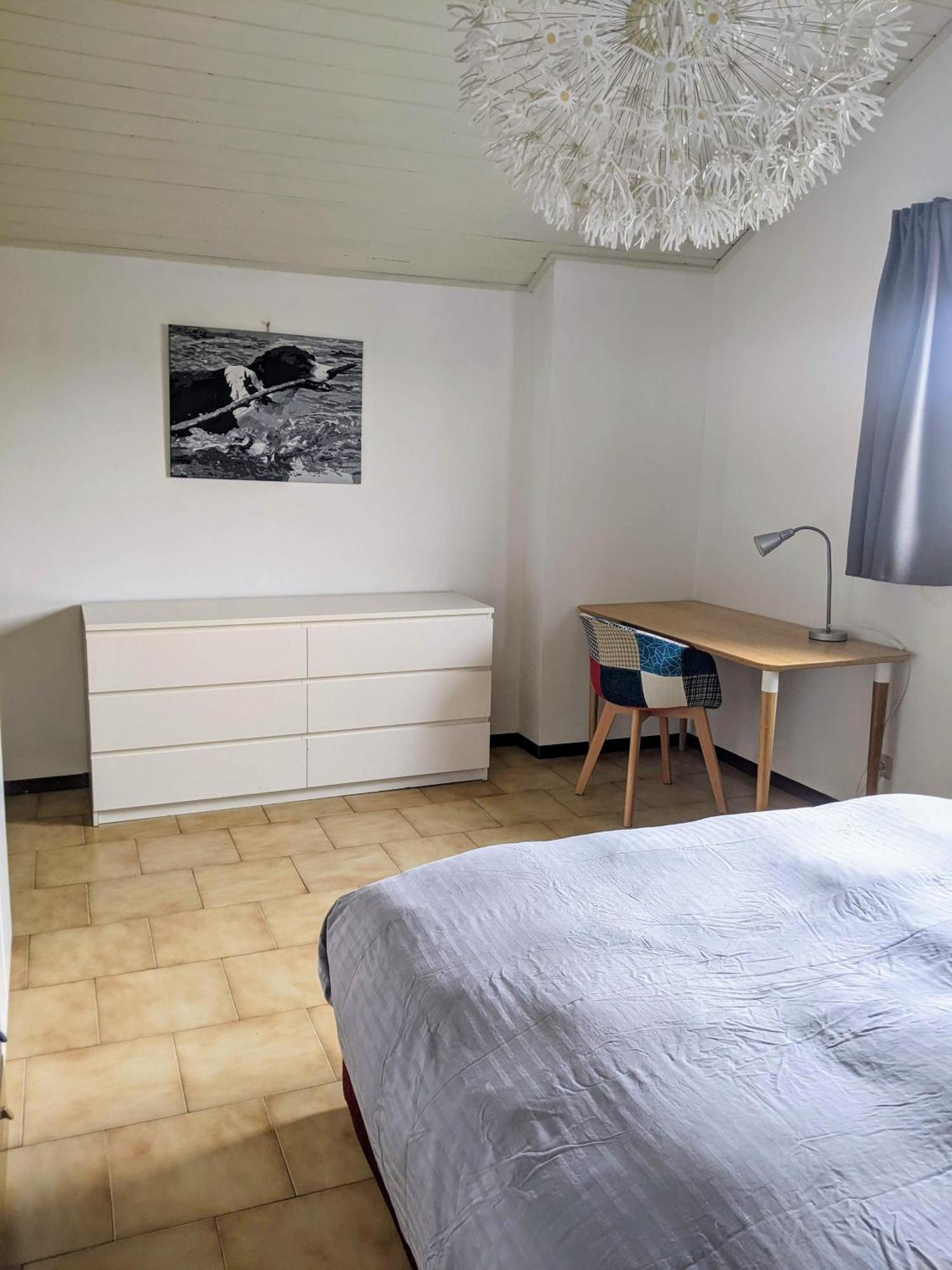 Lago Maggiore - Loft Apartment イスプラ エクステリア 写真